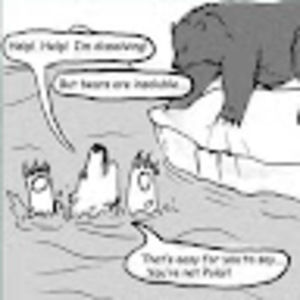 Meet your Posher, Bailey